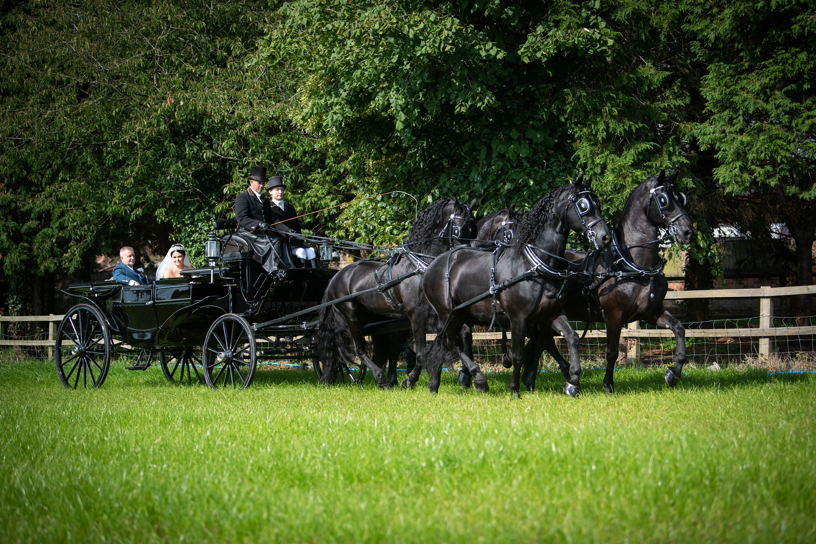 Fred and Chantelle’s wedding